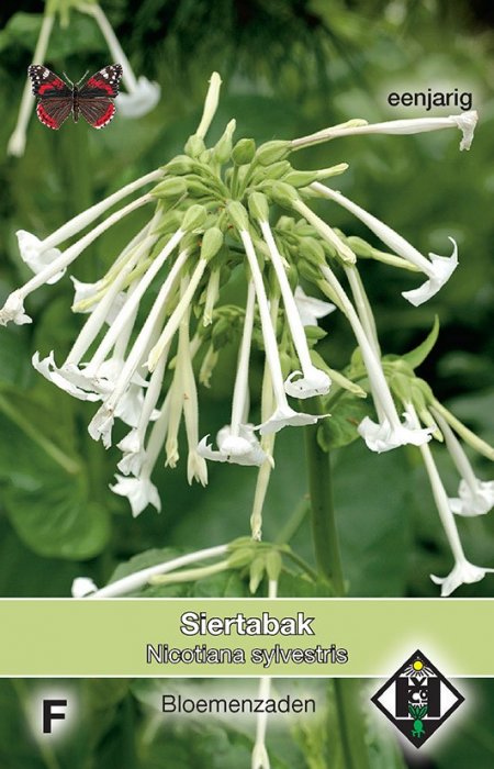 Siertabak