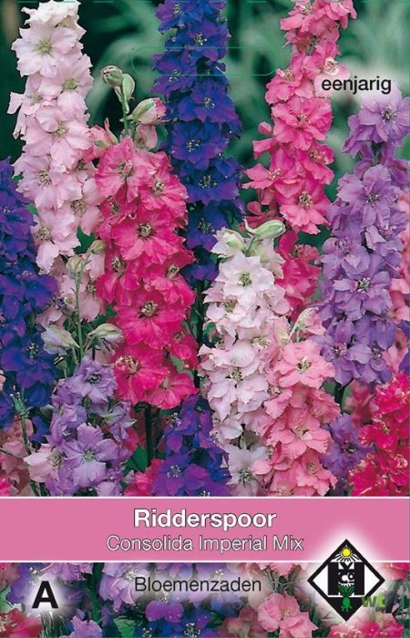 Ridderspoor