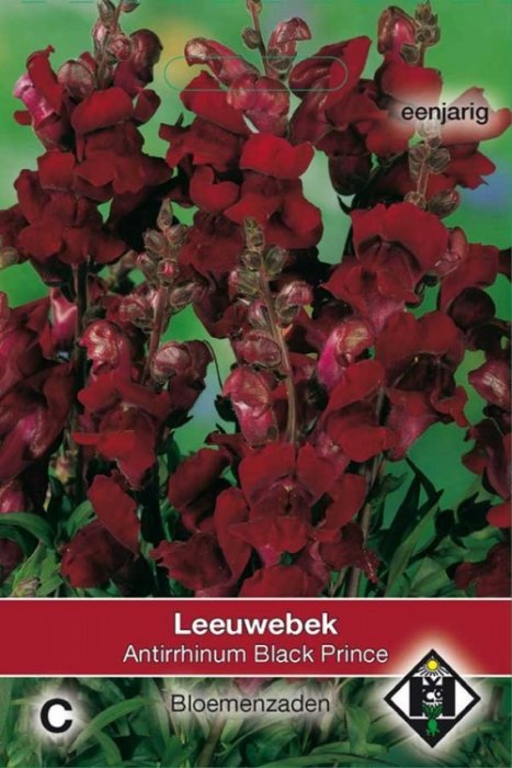 Leeuwebek
