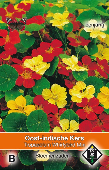 Oost-indische kers