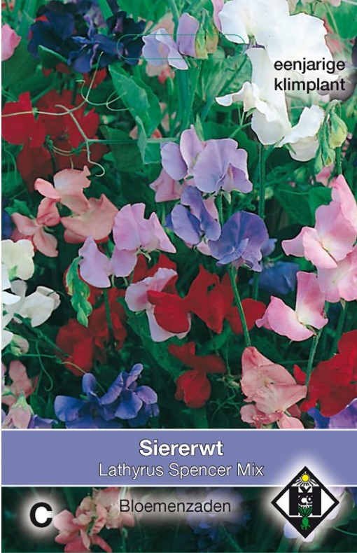 Siererwt