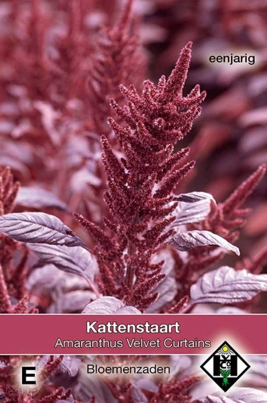 Kattestaart