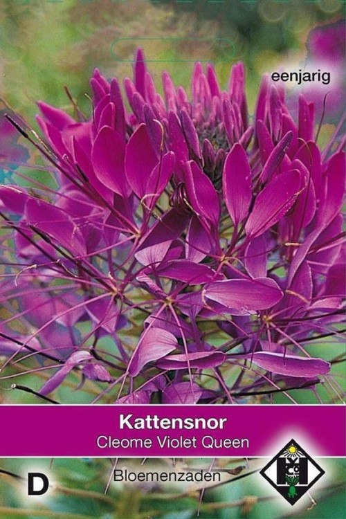 Kattensnor