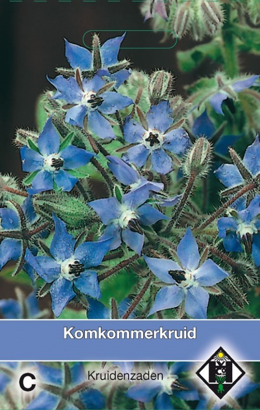 Komkommerkruid
