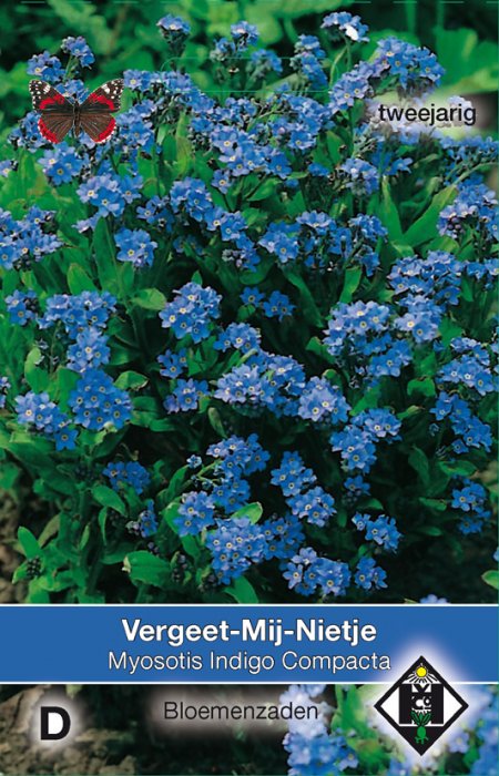 Vergeet-Mij-Nietje