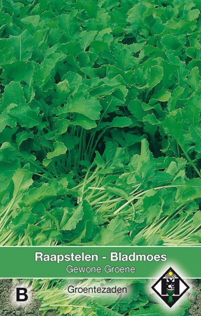 Raapstelen