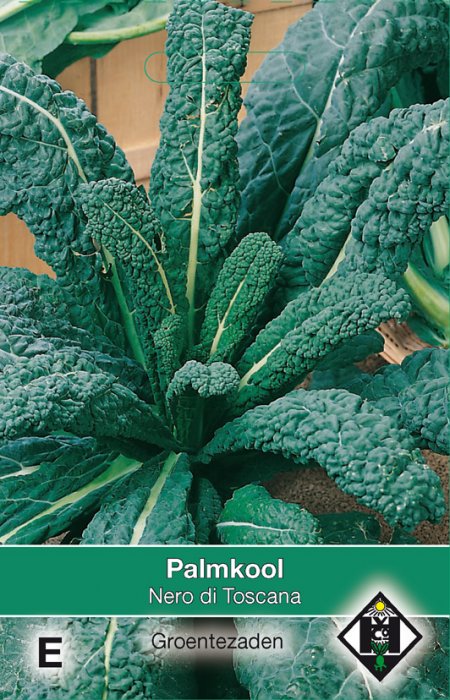 Palmkool