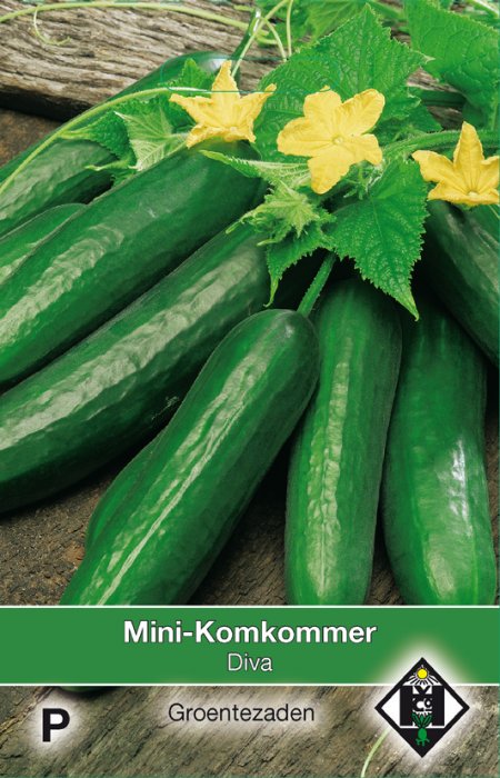 Mini-komkommer