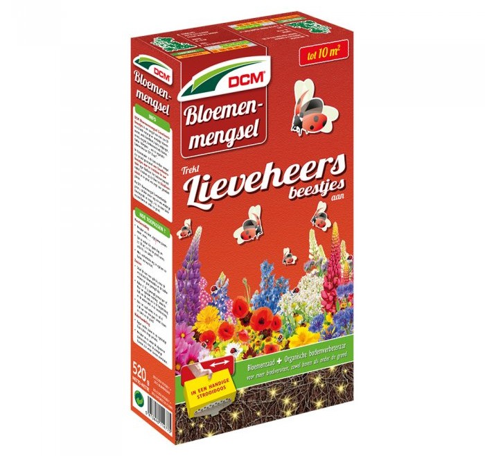 Lieveheersbeestjes