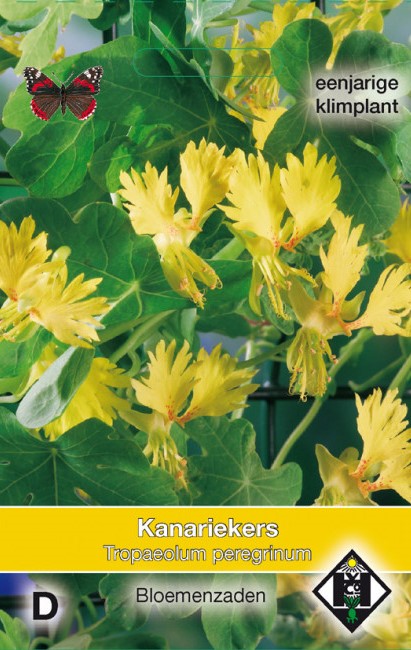 Kanariekers