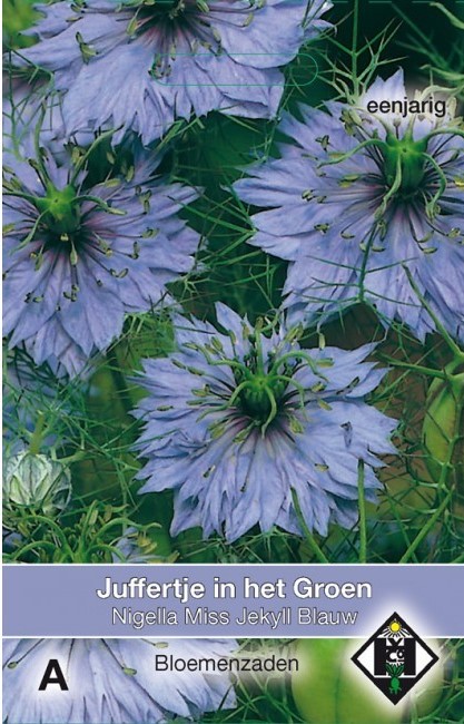 Juffertje in het groen