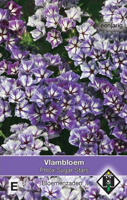 Vlambloem