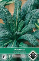 Palmkool